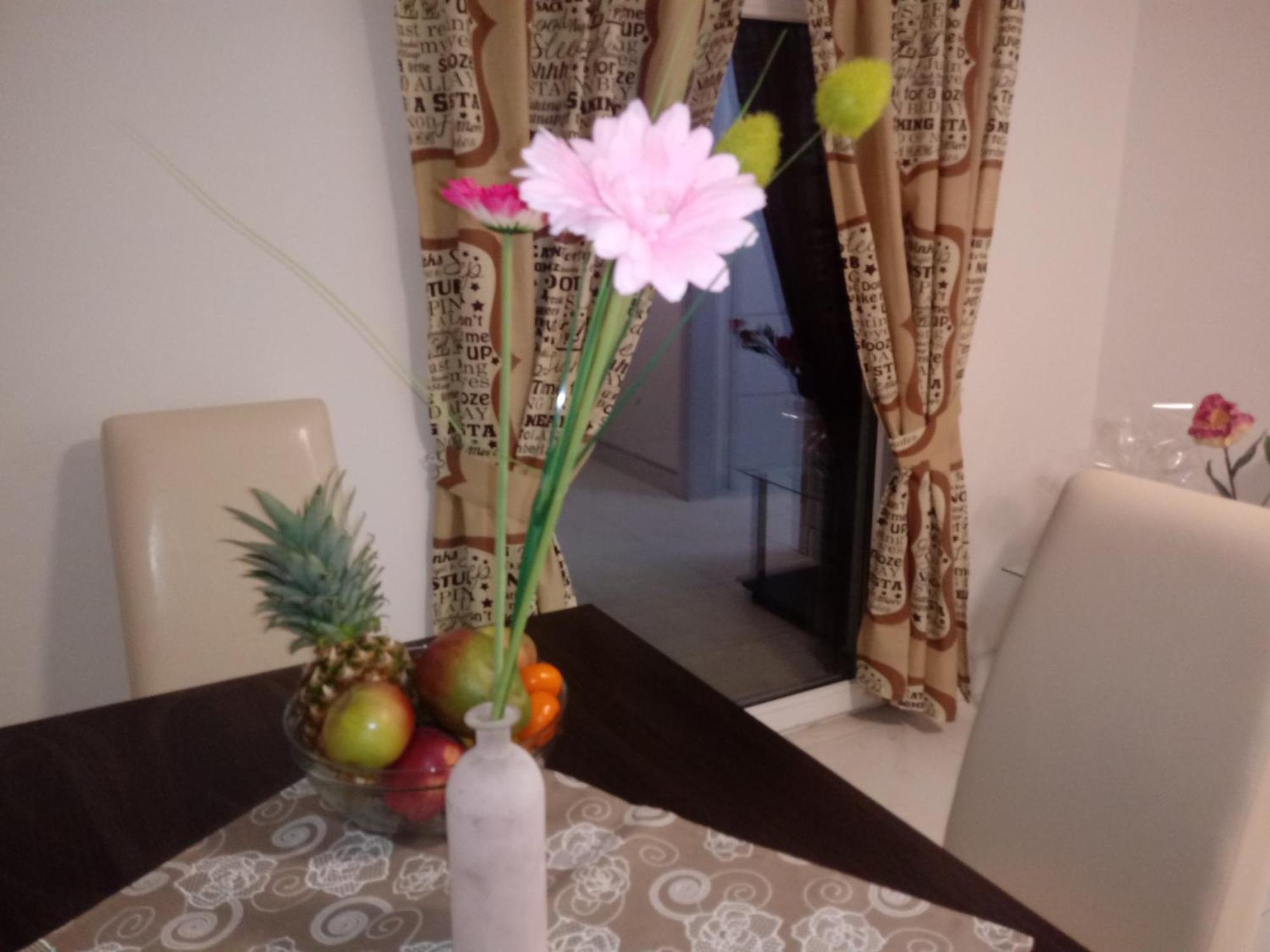 Apartmani Fran Vir Εξωτερικό φωτογραφία